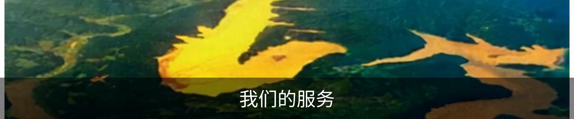 我们的服务
