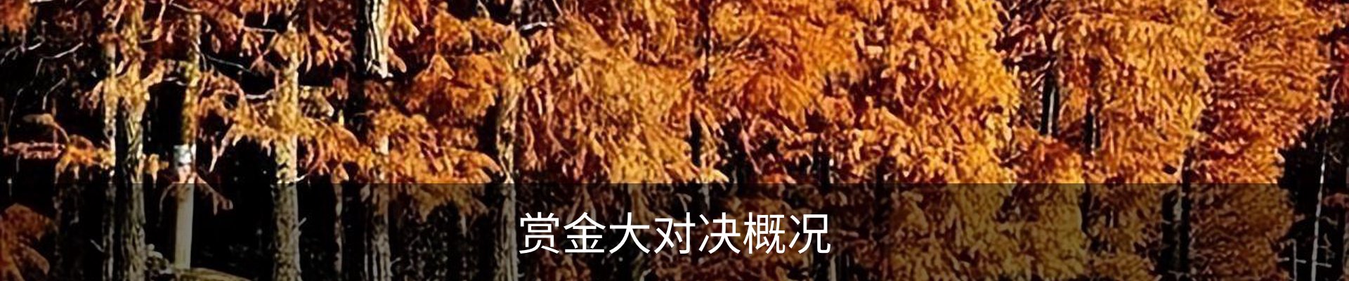 赏金大对决概况